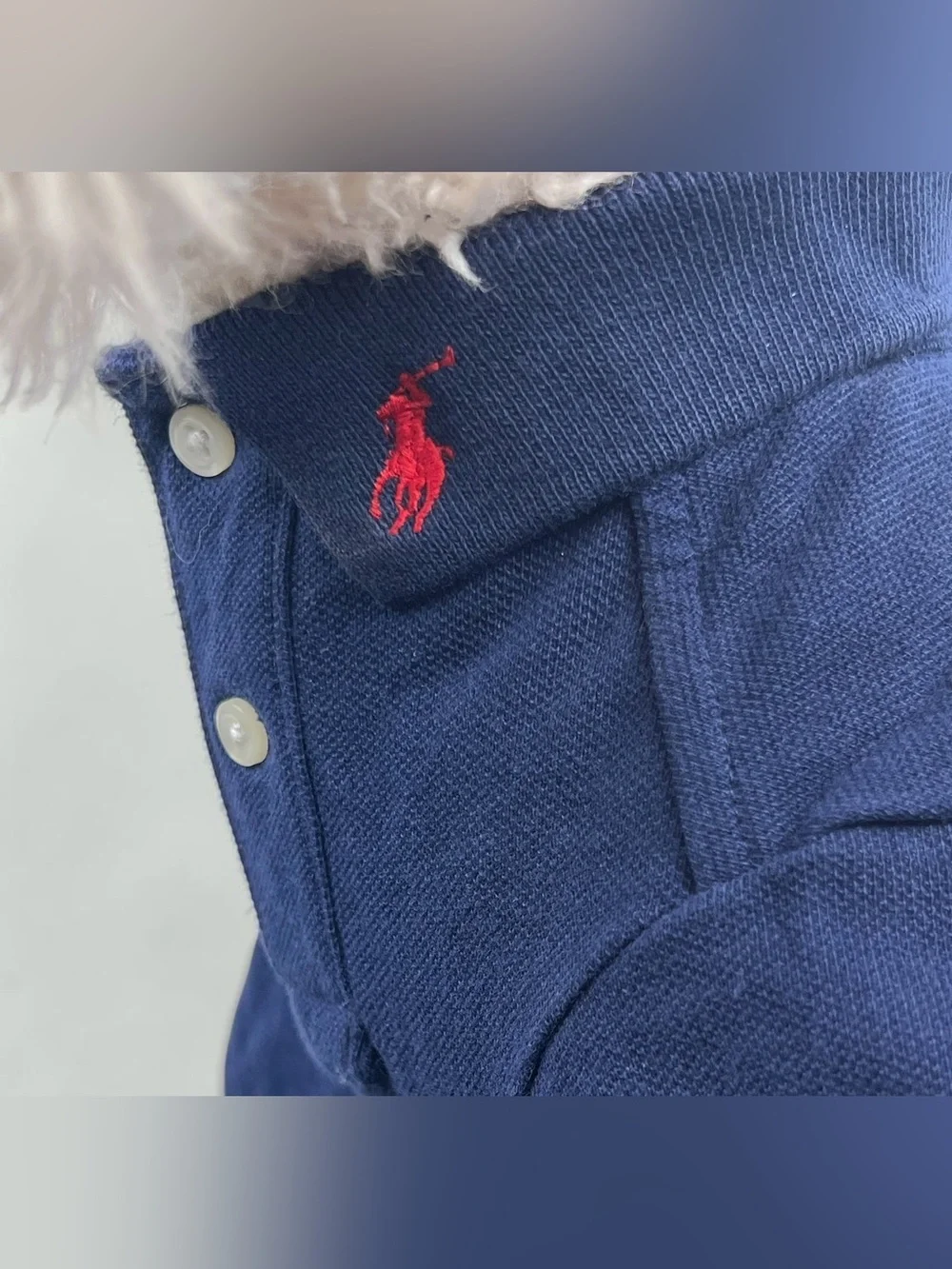 Polo Ralph Lauren Blue Short Sleeved Pique Patch Polo Shirt For Dogs Size M